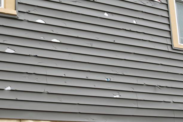 Best Property Management Cleanouts  in Desnso, CA